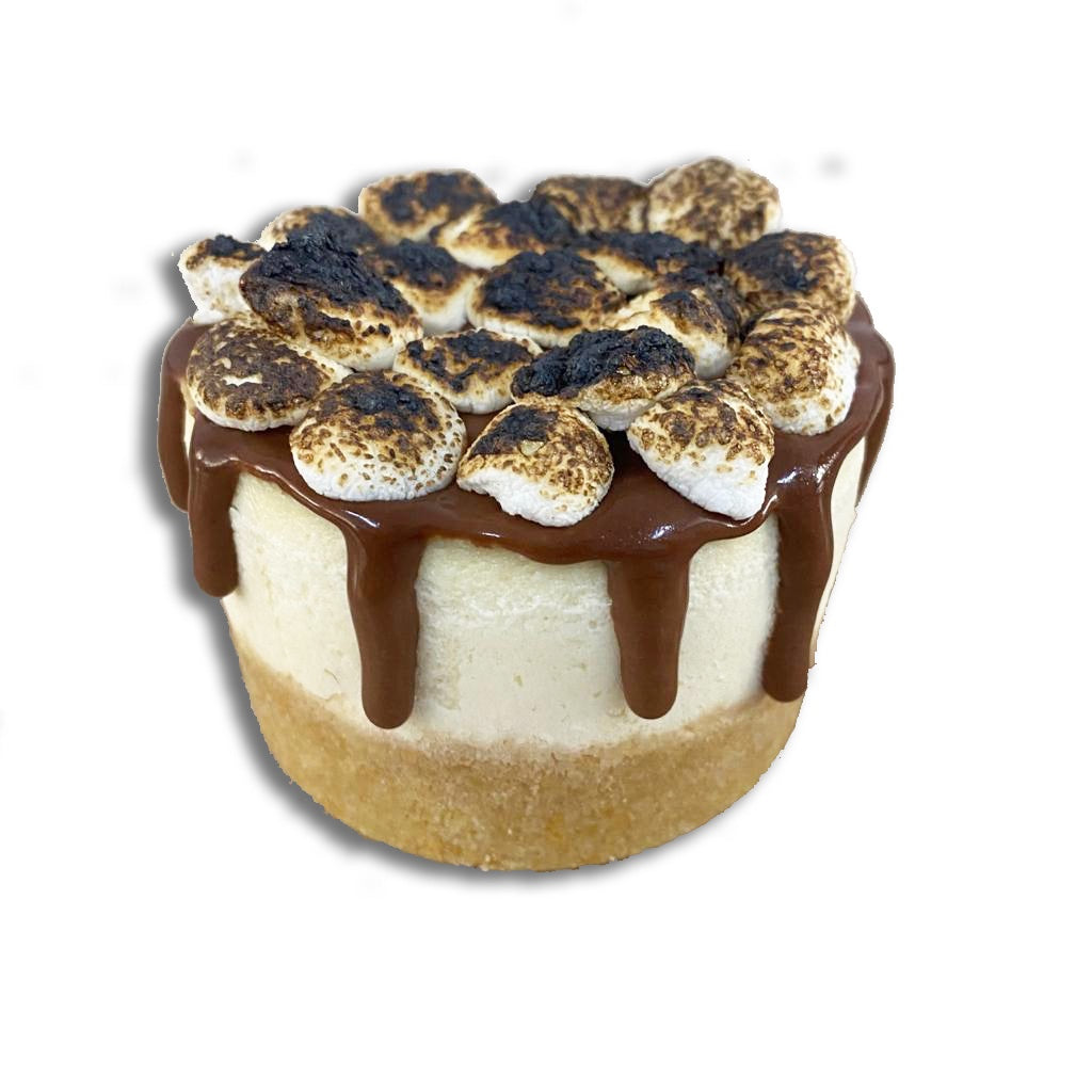 Mini Cheesecake de S'mores